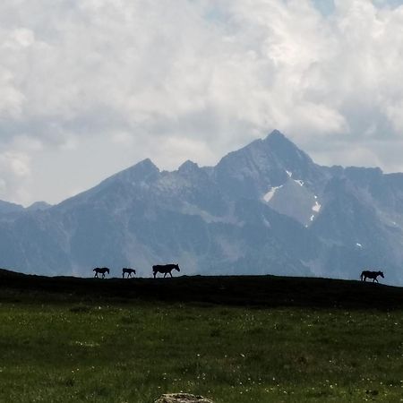 Hotel Cielo Blu Passo del Tonale Εξωτερικό φωτογραφία