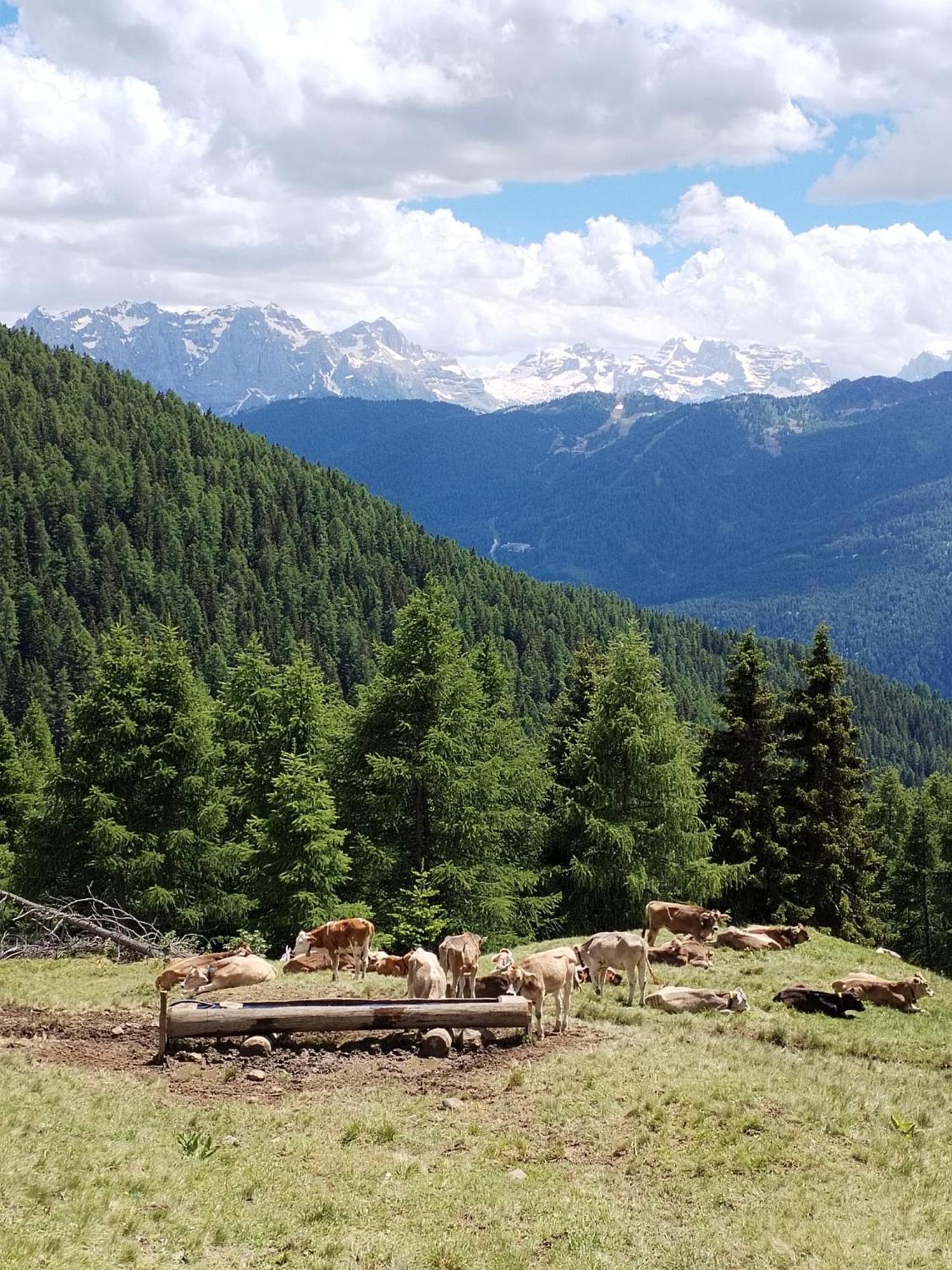 Hotel Cielo Blu Passo del Tonale Εξωτερικό φωτογραφία