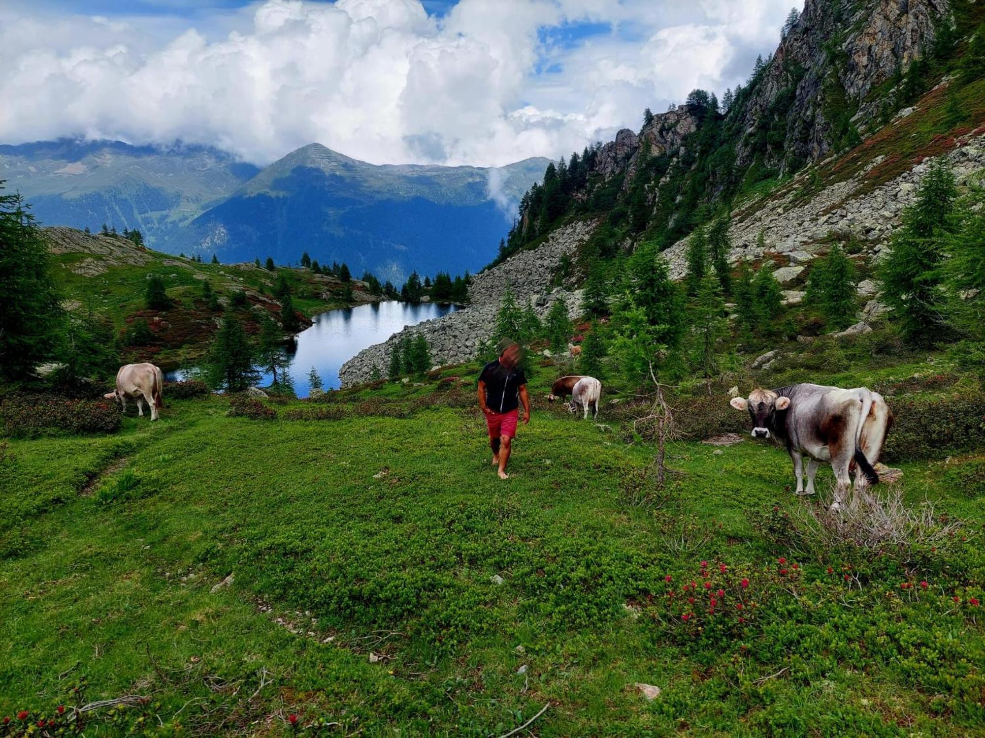 Hotel Cielo Blu Passo del Tonale Εξωτερικό φωτογραφία