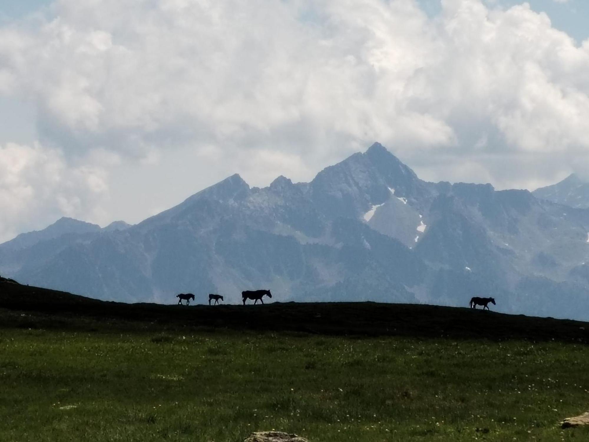 Hotel Cielo Blu Passo del Tonale Εξωτερικό φωτογραφία